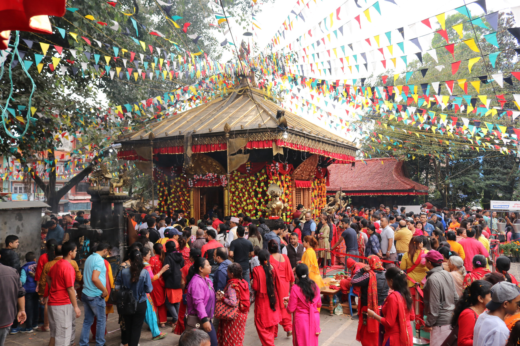 Devotees throng goddess shrines across country on Phulpati - Enewspolar ...