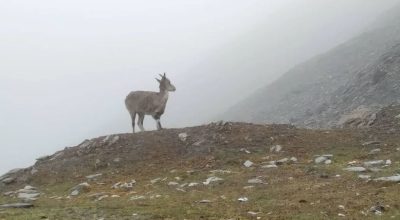 Naur in Manang district.