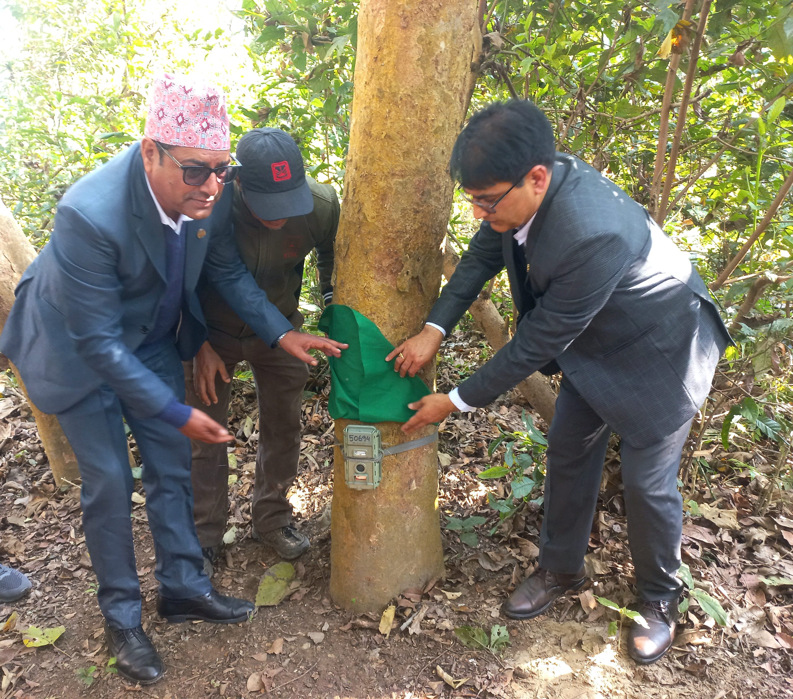 Tiger census commences in Nepal; 1,100 advanced cameras employed