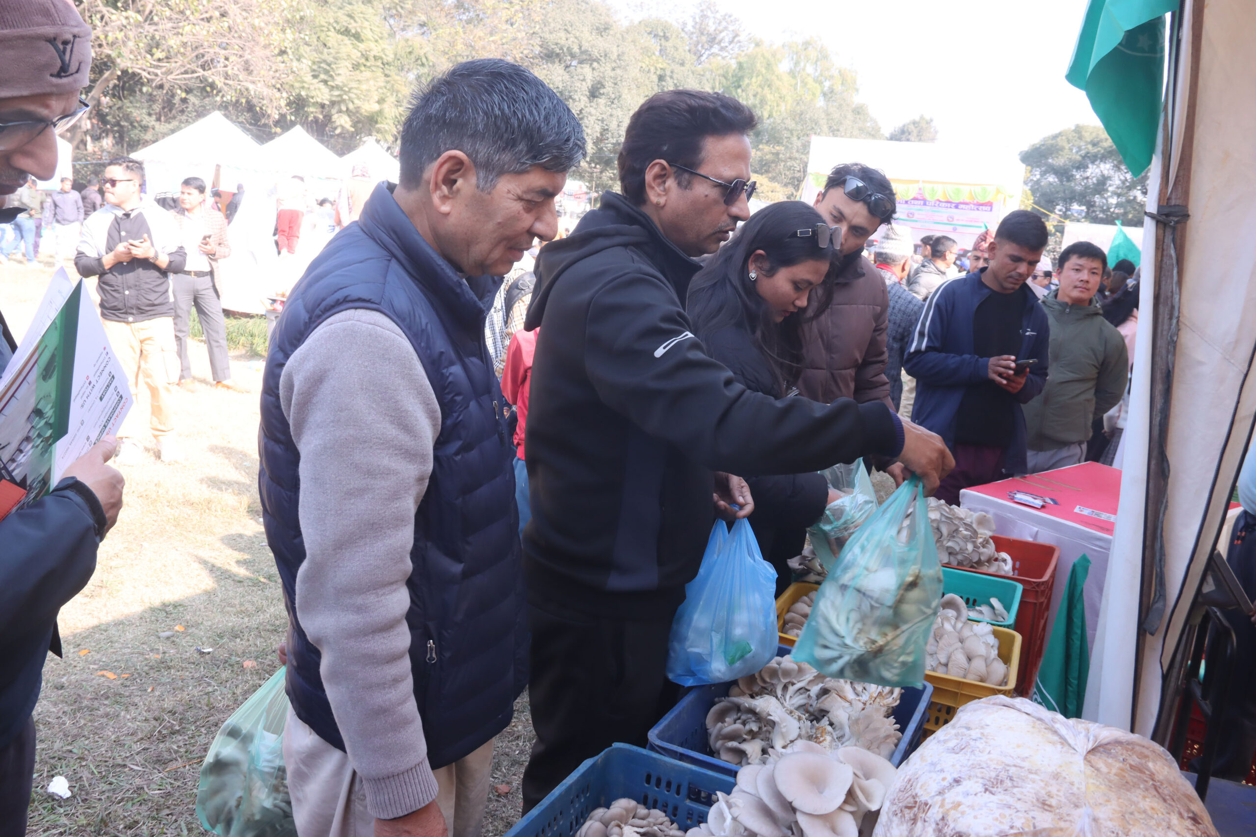 Nepal home to 1,150 mushroom species, 100 of them poisonous