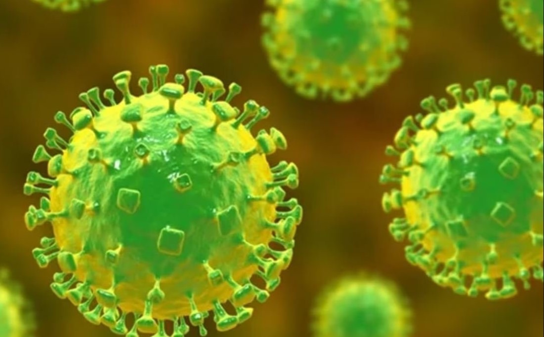 High alertness against Nipah virus